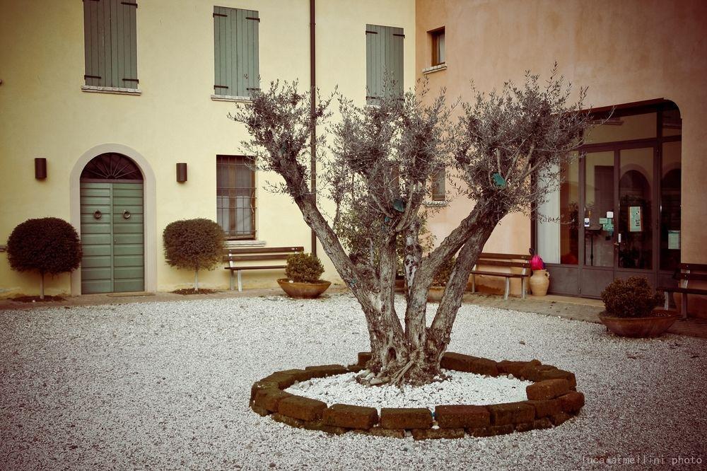 Apartmán Agriturismo Cascina Boschi Volta Mantovana Exteriér fotografie